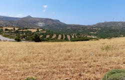 Palaikastro, Crete