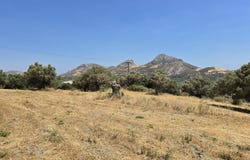 Asomatos, Crete 74060