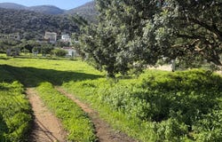 Stalida, Crete 70005