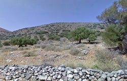 Agios Nikolaos, Lasithi 72053