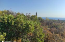Agioi Pantes, Ionian Islands 29092