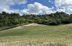 Chaniotis, Central Macedonia 63085