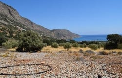 Plaka, Kríti