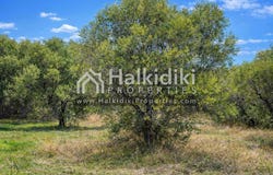 Kassandra, Central Macedonia