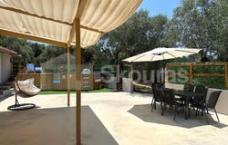 Ampelofyto, Peloponnese 24400