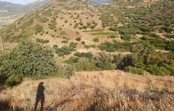 Mochlos, Lasithi 72057