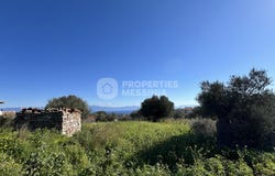 Vasilitsi, Peloponnese 24004