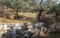 Thásos, Macedonia