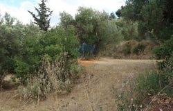 Argostoli, Iónioi Nísoi 281 00