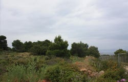 Kampani, Crete 73133