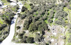 Sellia, Crete 74060