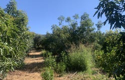 Agia, Crete 73014