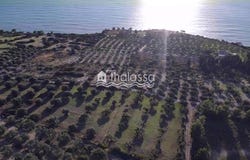 Simotata, Ionian Islands 28100