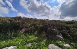 Agios Nikolaos, Lasithi 72053