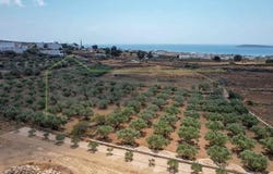 Agkeria, South Aegean 84400