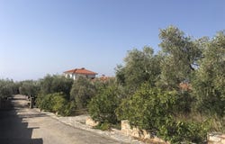 Skiathos, Thessaly 37002