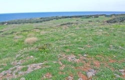 Agios Nikolaos, Lasithi 72053