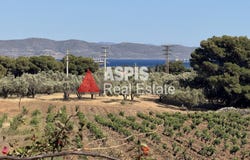 Μαρκάτι, Attica 34195