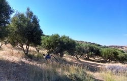Palekastro, Kríti 723 00