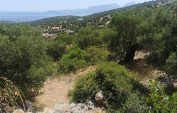 Agios Nikolaos, Lasithi 72100
