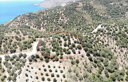 Sellia, Crete 74060