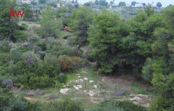 Malesina, Decentralized Administration of Thessaly and Centr 35001