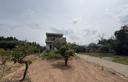 Diyeliotika, Western Greece 25100