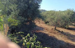 Sivota, Igoumenitsa, Epirus and Western Macedonia 461 00