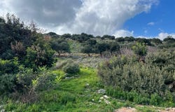 Elounda, Crete 72053