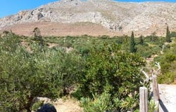 Zakros, Kríti 723 00