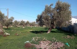 Tibaki, Crete 70200