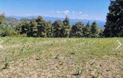 Paliouri, Central Macedonia 63085