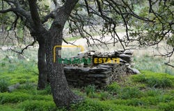 Livadia, South Aegean 84500