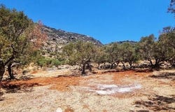 Καραβοστάσι, Peloponnese 23062