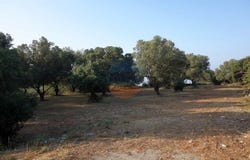 Lakithra, Iónioi Nísoi 281 00