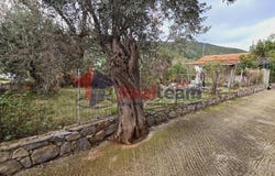 Steni Vala, Thessaly 37005