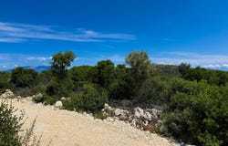 Elies, Elies, Peloponnese, Western Greece and the Ionian 290 91