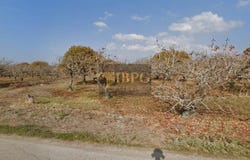 Kampos Oropou, Attica 19015