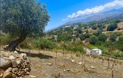 Lampi, Crete Island 740 56