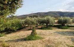 Apollonia, Thessaloniki - Rest of Prefecture