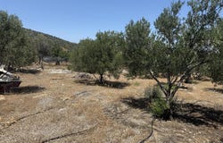 Rousa Limni, Crete 72100