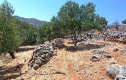 Epano Pines, Crete 72100