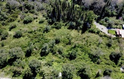 Souleika, Ionian Islands 49084