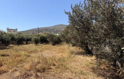Dryos, South Aegean 84400