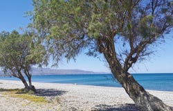 Tavronítis, Crete 73006