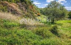 Kassandra, Central Macedonia