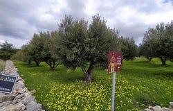 Agios Nikolaos, Lasithi 72053