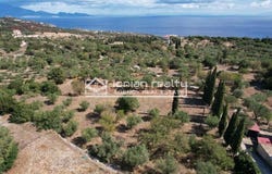Skinaria, Ionian Islands 29091