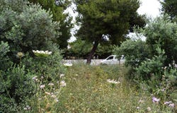 Crete 73133