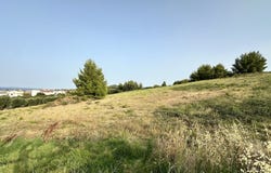 Chaniotis, Central Macedonia 63085